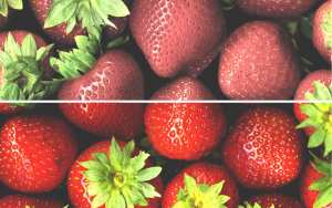 chỉ số hoàn màu CRI là gì