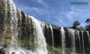 ban-can-mua-den-led-gan-ray-tai-tuyen-quang-1