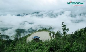 can-mua-den-led-gan-ray-tai-lai-chau-chat-luong-tot-1