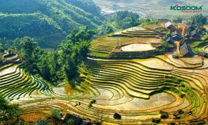 den-am-tran-cao-cap-tai-hoa-binh-1