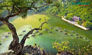 den-led-gan-ray-ninh-binh-1