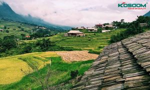 den-led-gan-ray-tai-lao-cai-co-nhu-cau-su-dung-ra-sao-1