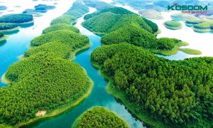 den-led-gan-ray-tai-phu-tho-1