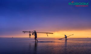 den-led-gan-ray-tai-thai-binh-1