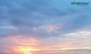 den-led-gan-ray-tai-thanh-hoa-1