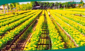 den-led-nha-xuong-chat-luong-o-dong-thap-1