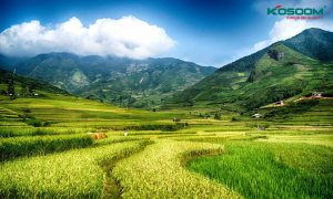 den-led-nha-xuong-tai-dien-bien-chat-luong-1