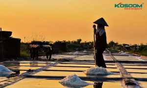 den-led-nha-xuong-tai-thai-binh-1