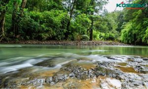 den-led-op-tran-anh-trang-tai-binh-phuoc-1