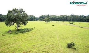 den-led-op-tran-apolo-tai-binh-phuoc-1