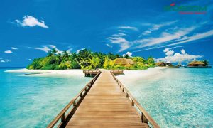 den-led-op-tran-hoa-mau-don-o-kien-giang-1