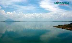 den-led-op-tran-hoa-mau-don-tai-binh-duong-1