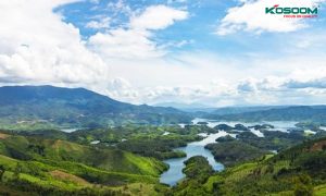 den-led-op-tran-kim-cuong-dak-nong-don-gian-hien-dai-1