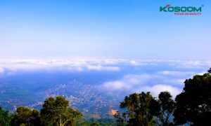 den-led-op-tran-kim-cuong-tai-binh-phuoc-1