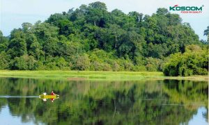 den-led-op-tran-kim-cuong-tai-dong-nai-1