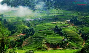 den-led-op-tran-o-hoa-binh-1