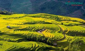 den-led-op-tran-o-lao-cai-1