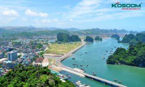 den-led-op-tran-o-quang-ninh-1