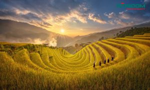 den-led-op-tran-o-yen-bai-1