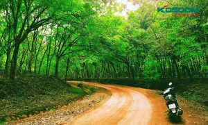 den-led-op-tran-sunny-tai-binh-phuoc-1