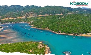 den-led-panel-gia-re-cho-cong-trinh-tai-ninh-thuan-1