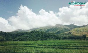 den-led-panel-tai-dien-bien-1