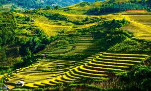 den-led-panel-tai-ha-giang-1