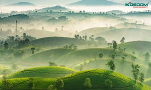 den-led-panel-tai-phu-tho-1