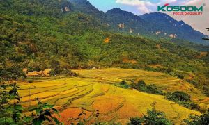 den-led-panel-tai-thanh-hoa-1