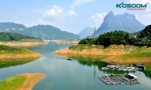 den-led-panel-tai-tuyen-quang-1