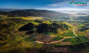 den-led-roi-ray-cao-cap-gia-lai-1