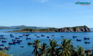 den-led-roi-ray-nao-chat-luong-tai-phu-yen-1