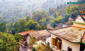 den-led-roi-ray-tai-dong-nai-1