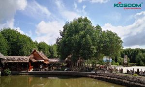 den-tuyp-led-t8-tot-nhat-o-ca-mau-1