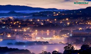 den-led-trang-tri-chat-luong-o-da-lat-1