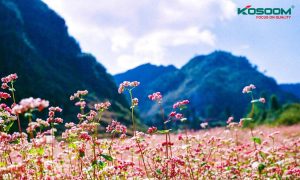 den-led-van-phong-tai-ha-giang-1