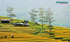 den-led-op-tran-kim-cuong-tai-dien-bien-1