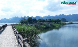 den-tuyp-led-o-ha-nam-1