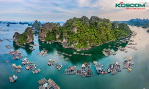 den-tuyp-led-o-quang-ninh-1