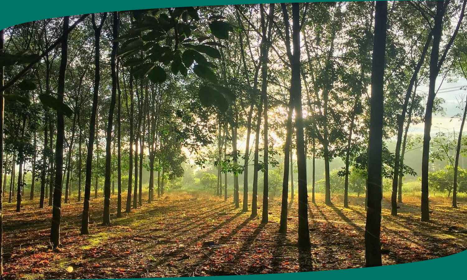 den-tuyp-led-t5-tai-binh-phuoc-1