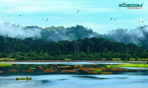 den-tuyp-led-t5-tai-dong-nai-1