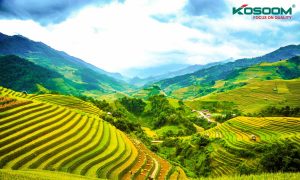 den-tuyp-led-yen-bai-1