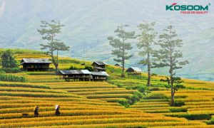 den-led-van-phong-tai-dien-bien-1