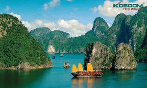 mua-den-led-gan-ray-o-quang-ninh-thuong-hieu-nao-uy-tin-1