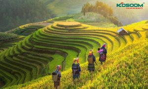 nhung-luu-y-khi-mua-den-led-van-phong-tai-yen-bai-1