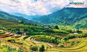 thuong-hieu-den-led-van-phong-tai-lao-cai-chat-luong-cao-1