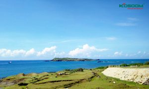 ung-dung-cua-den-led-roi-ray-cho-co-so-kinh-doanh-tai-binh-thuan-1