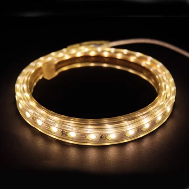 Mẫu đèn Led dây dán 220V Chip 5730 3 màu 3 chế độ Maxben